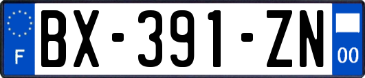 BX-391-ZN