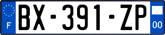 BX-391-ZP