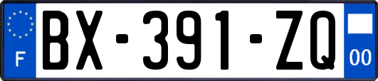 BX-391-ZQ