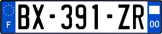 BX-391-ZR