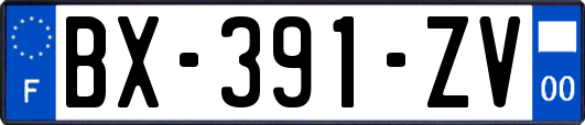 BX-391-ZV