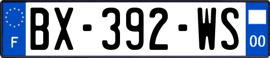 BX-392-WS