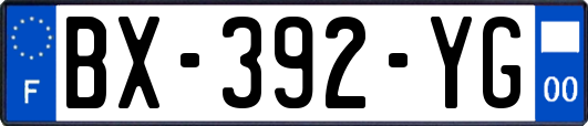 BX-392-YG