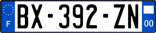 BX-392-ZN