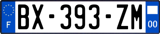 BX-393-ZM