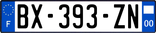 BX-393-ZN