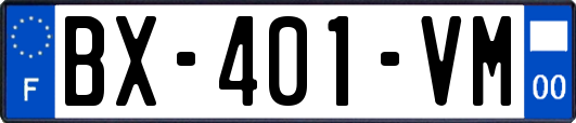 BX-401-VM