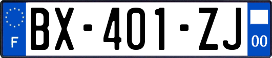 BX-401-ZJ