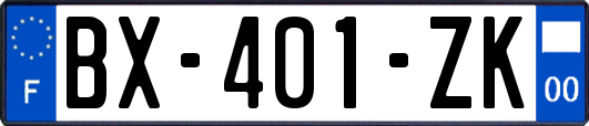 BX-401-ZK