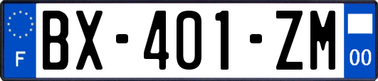 BX-401-ZM