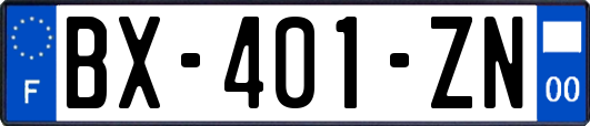 BX-401-ZN