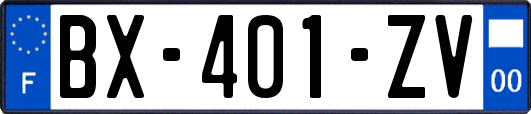 BX-401-ZV