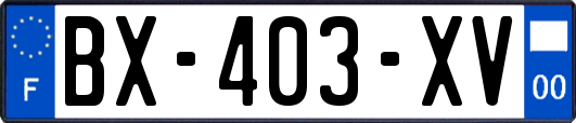 BX-403-XV