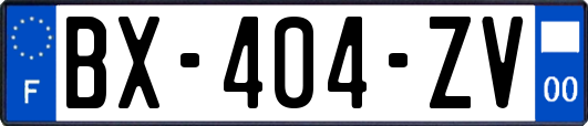 BX-404-ZV