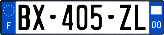 BX-405-ZL