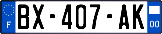 BX-407-AK