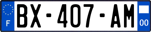 BX-407-AM