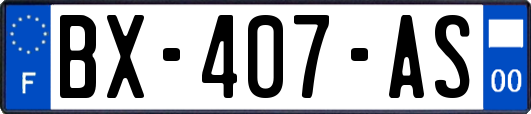 BX-407-AS