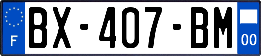 BX-407-BM