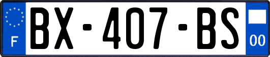 BX-407-BS