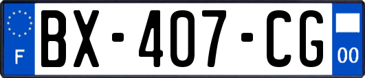 BX-407-CG