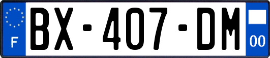 BX-407-DM