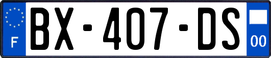 BX-407-DS