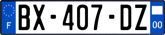 BX-407-DZ