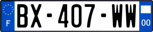 BX-407-WW