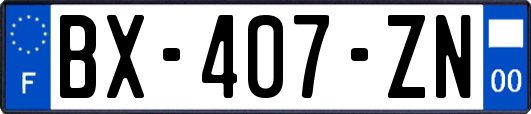 BX-407-ZN