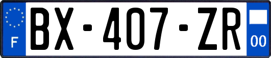 BX-407-ZR