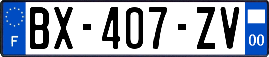 BX-407-ZV