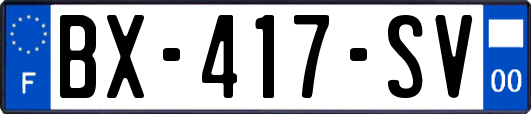 BX-417-SV