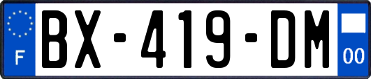 BX-419-DM