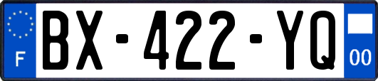 BX-422-YQ