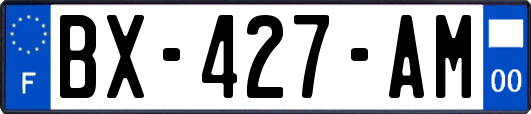 BX-427-AM