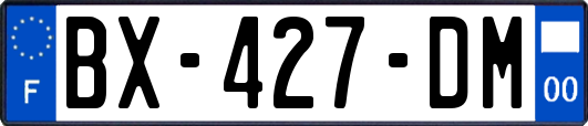 BX-427-DM