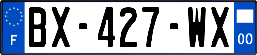 BX-427-WX