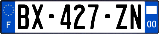 BX-427-ZN