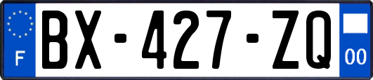 BX-427-ZQ