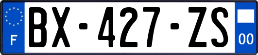 BX-427-ZS