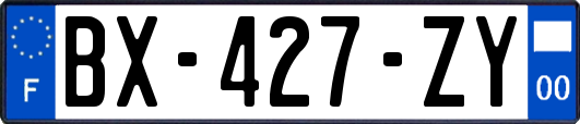 BX-427-ZY