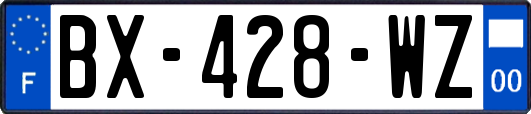 BX-428-WZ