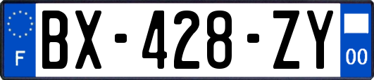 BX-428-ZY