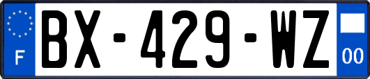 BX-429-WZ