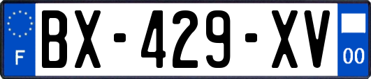 BX-429-XV