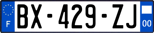 BX-429-ZJ