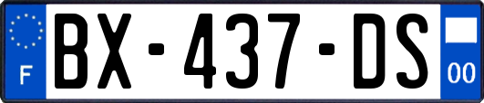 BX-437-DS