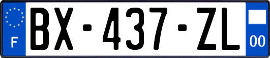 BX-437-ZL