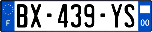 BX-439-YS